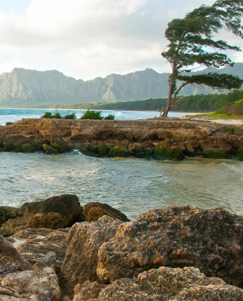 Oahu's Ohana Trail