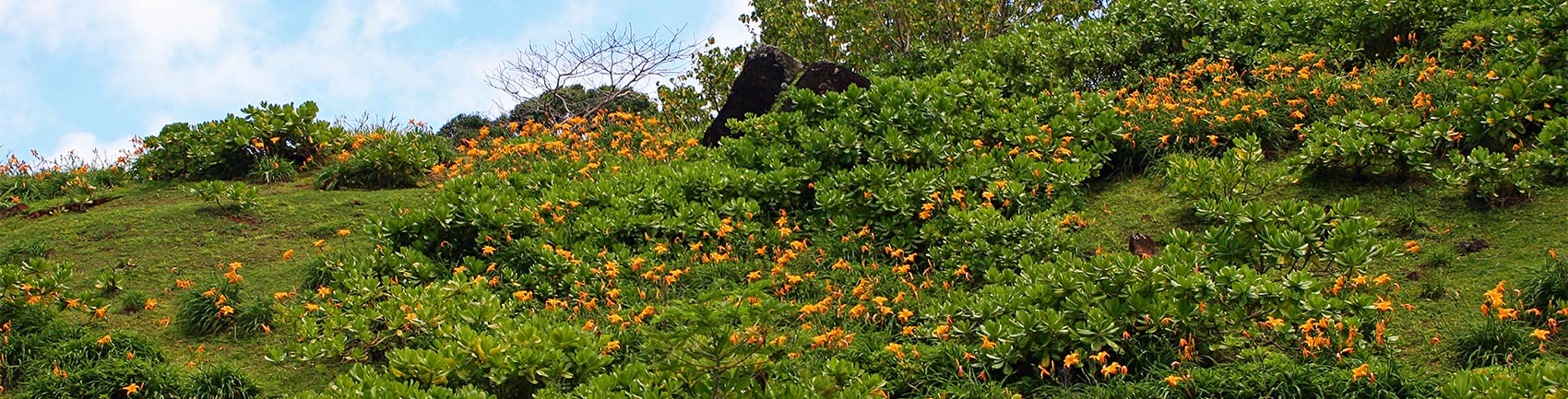 Limahuli Gardens