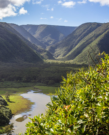 Pololu Valley