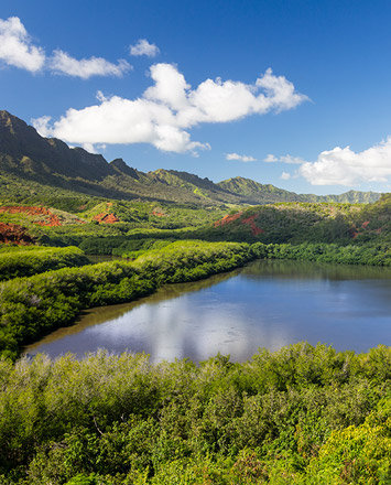 Fishing pond on the island of Kauai