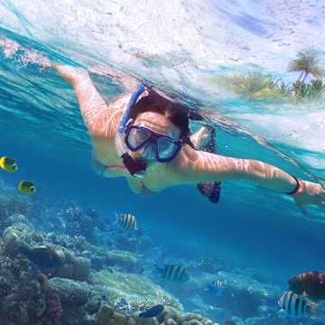 Snorkeling on Maui