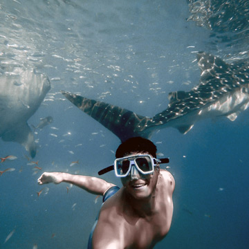 Snorkeling in Ocean