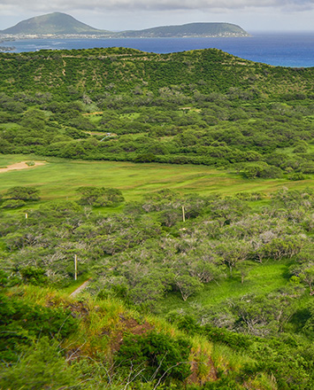 Zip lining on Oahu