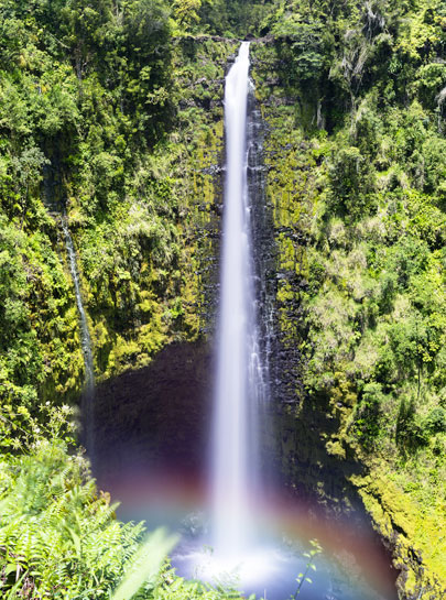 Explore the Island of Hawaii
