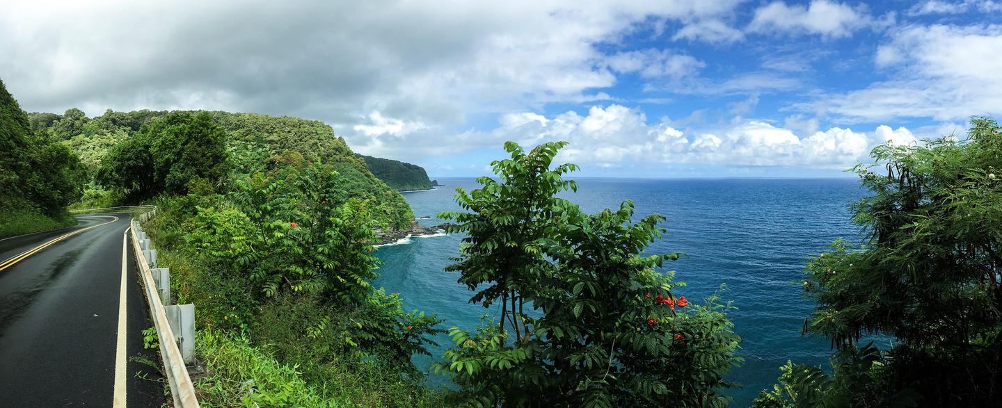 view of coastline along hilo coast