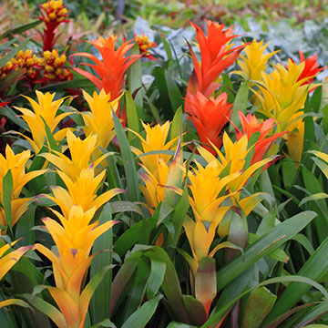 Garden & Wildlife Tours