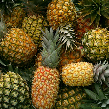 Farmers market Kailua Oahu