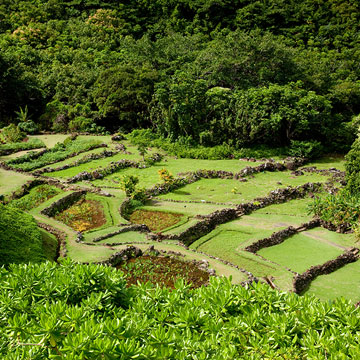 Garden tours on Kauai