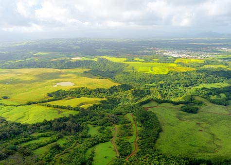 Kauai garden green aerial