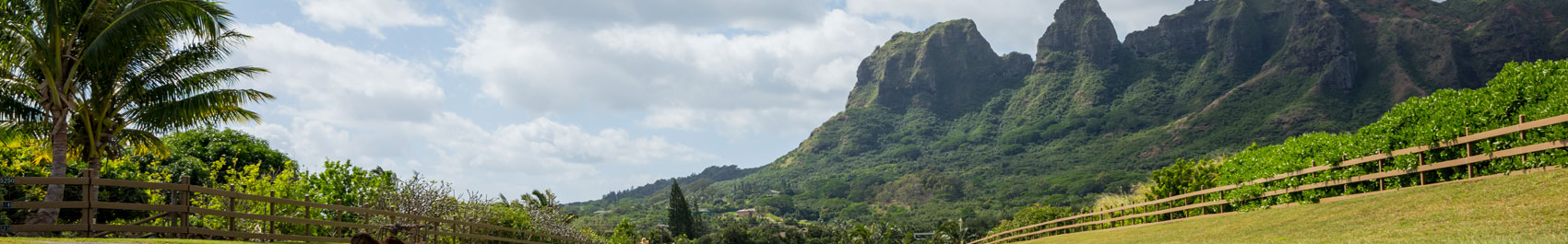 Back road on Kauai