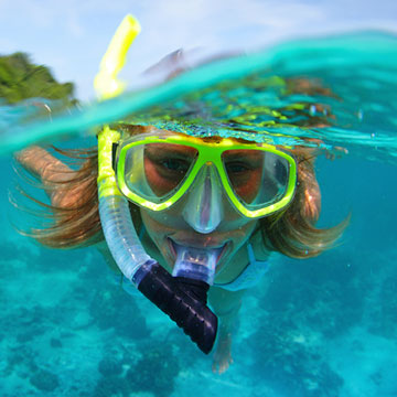 Snorkeling at Kealakekua Bay