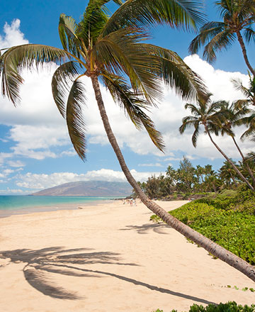Wailea Maui