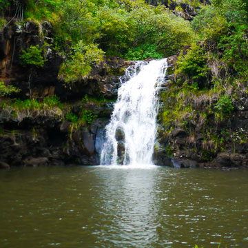 Waimea Falls Park