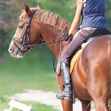 Horseback Tour Maui