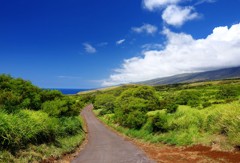 upcountry-maui-hero-1-haleakala-road-767x520.jpg