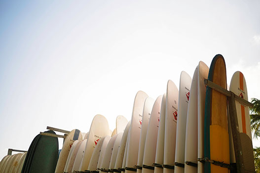 surf boards