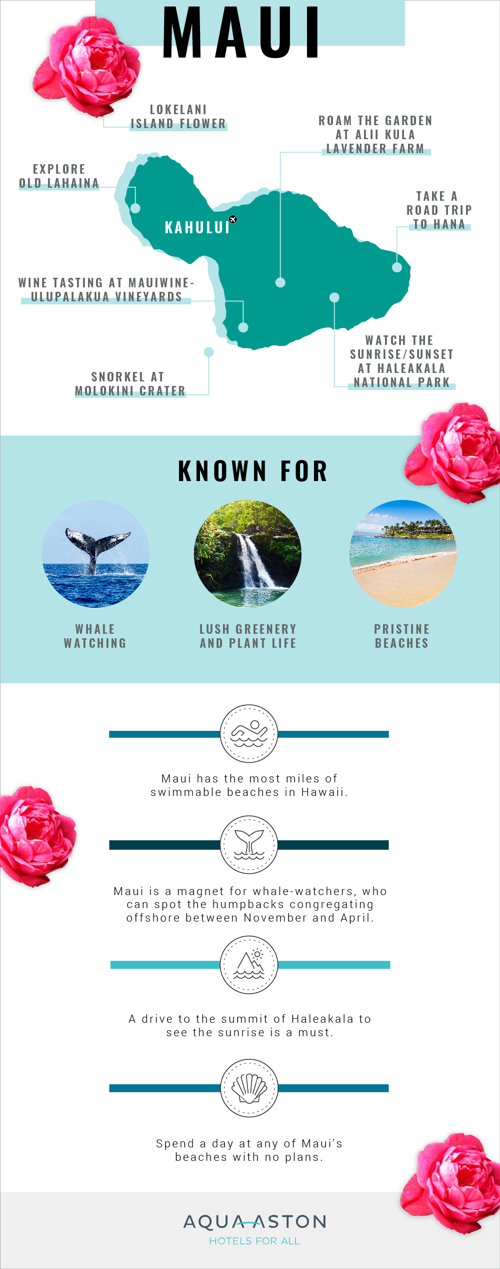 Hawaii-Infographic-Maui.jpg (AA-Hawaii-ALL-ISLANDS-Infographic_V05)