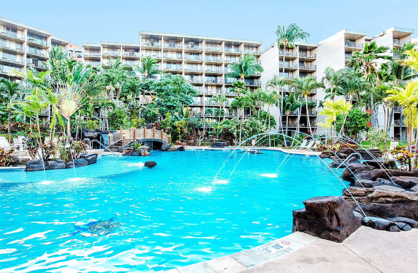 Garden Pool