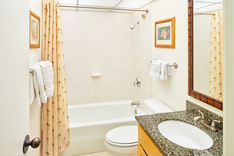 Hotel Room Bathroom