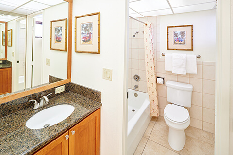 Junior Suite Bathroom