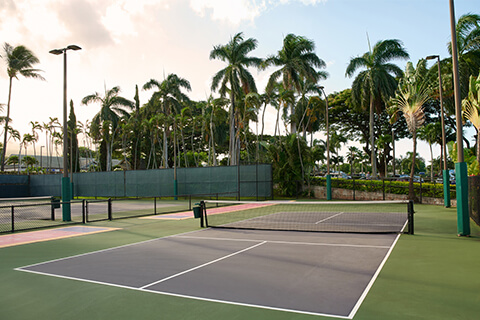 Pickleball Court