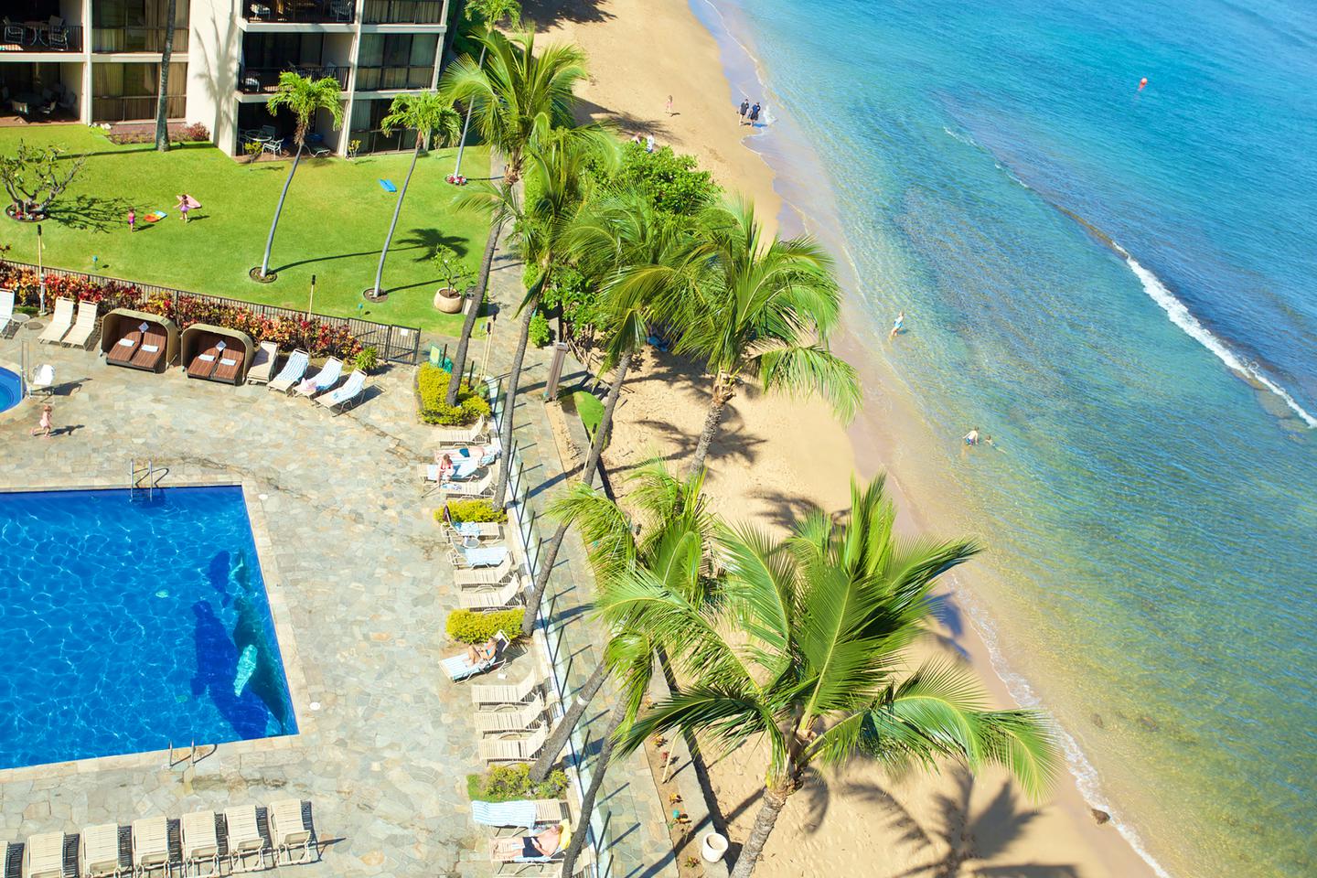 Beach and Oceanfront Pool