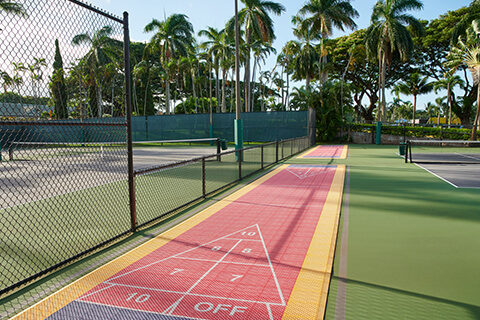 Shuffleboard Court