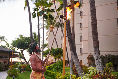 Torch Lighting