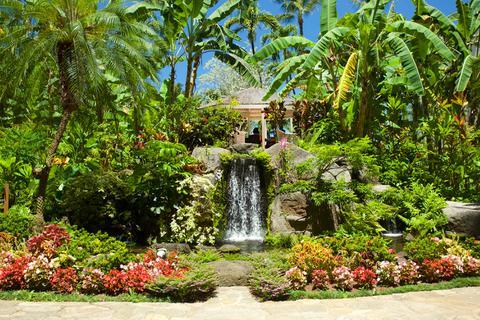 Gazebo and Waterfall