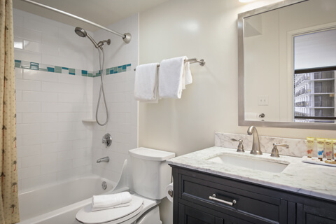 One-Bedroom Standard Suite Bathroom