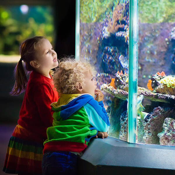 Children at Waikiki Aquarium Oahu Hawaii
