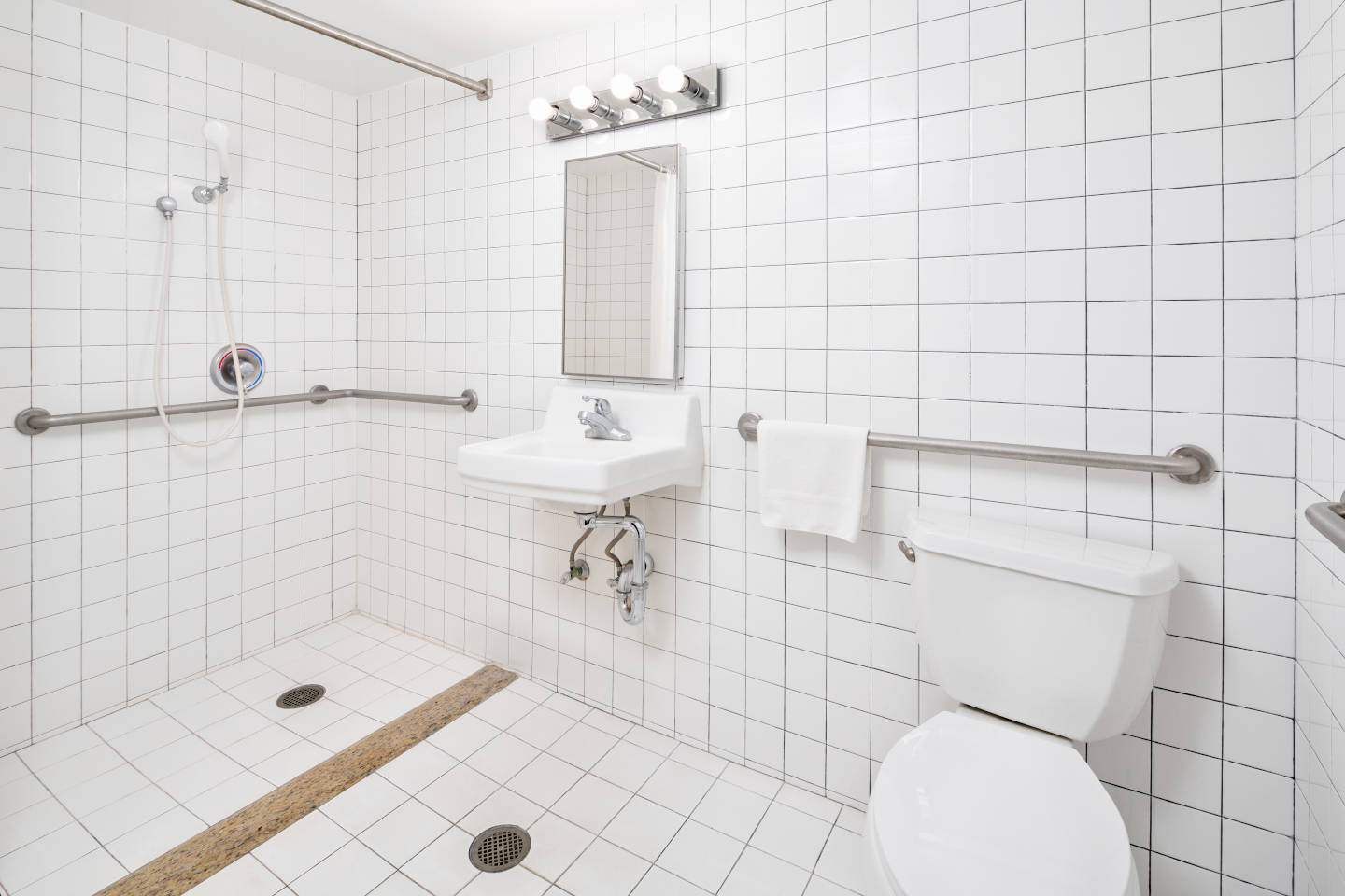 Bathroom with a roll-in shower, sink and toilet.