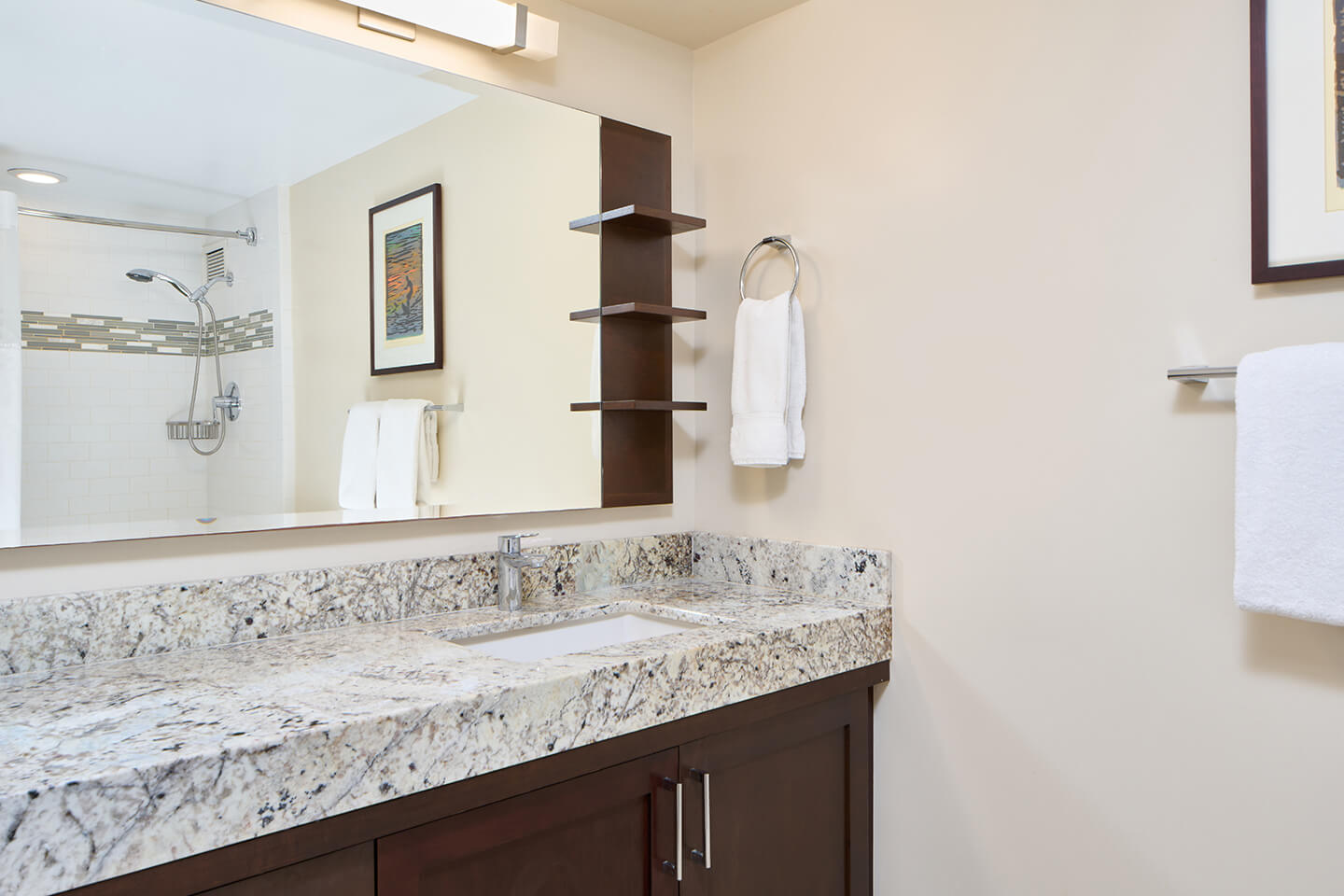 Luxury Two-Bedroom City View Bathroom