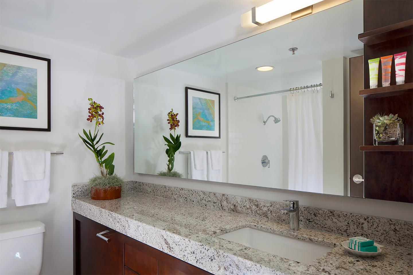 Luxury Junior Suite City View Bathroom