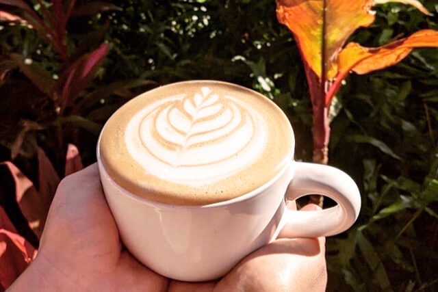 Imua Coffee Roasters