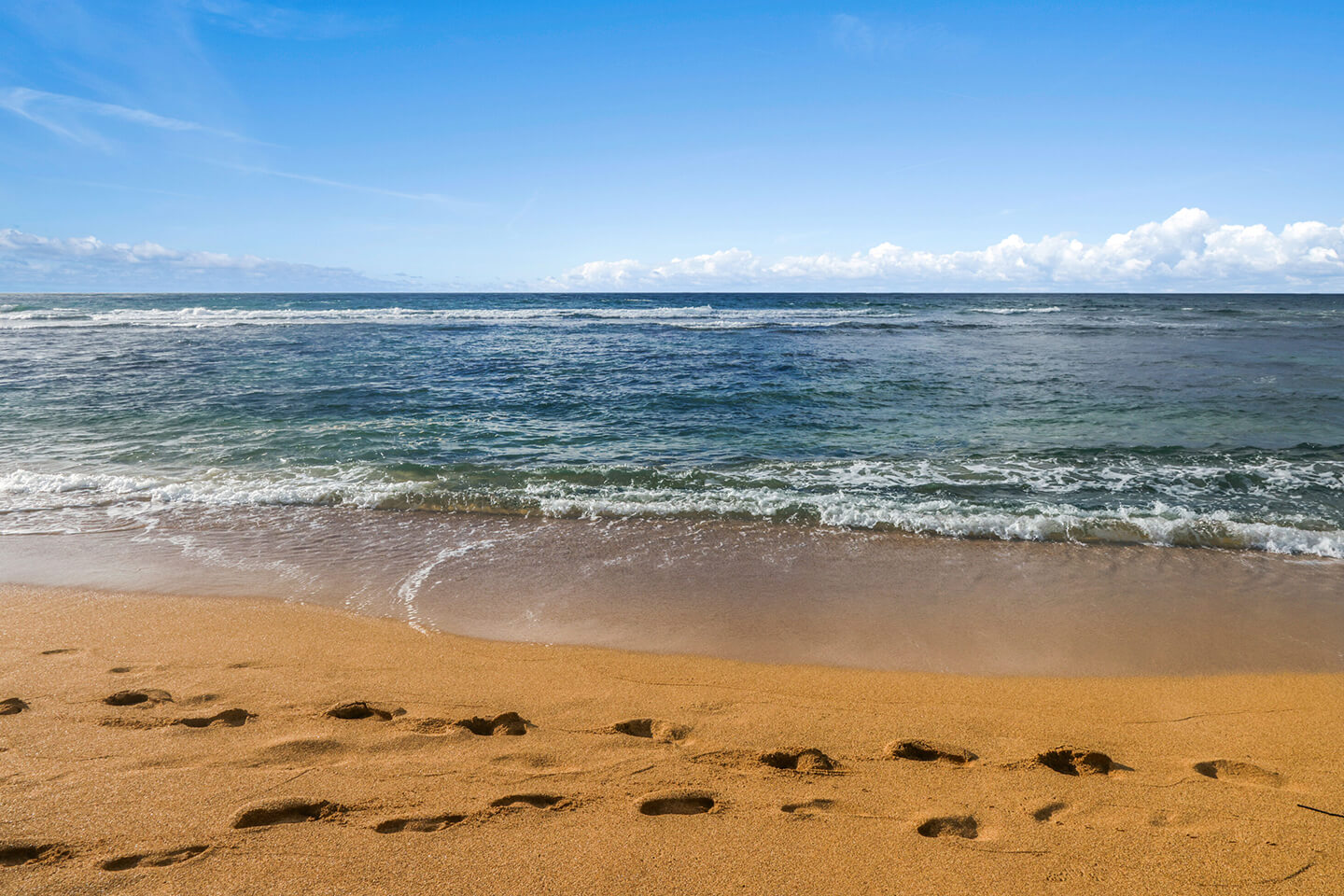 Beach during the day