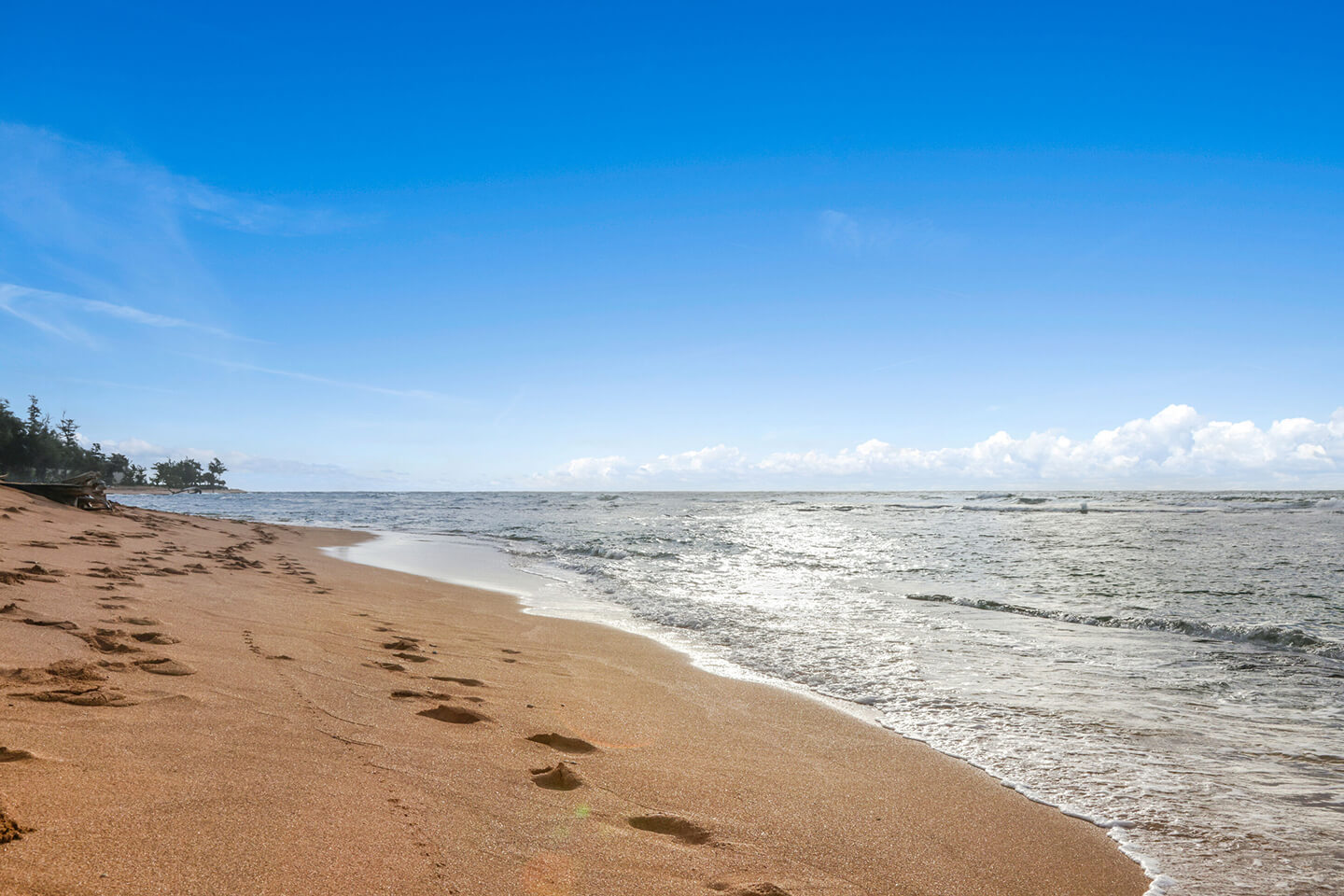 Resort Shoreline