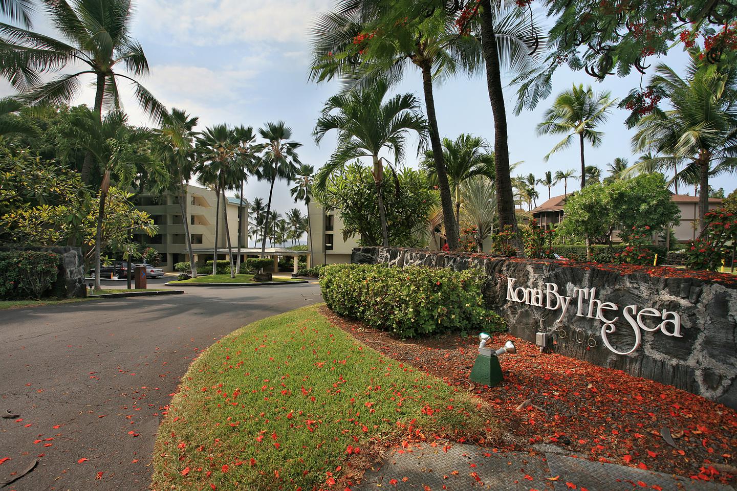 Driveway entrance to the resort with topical plants.