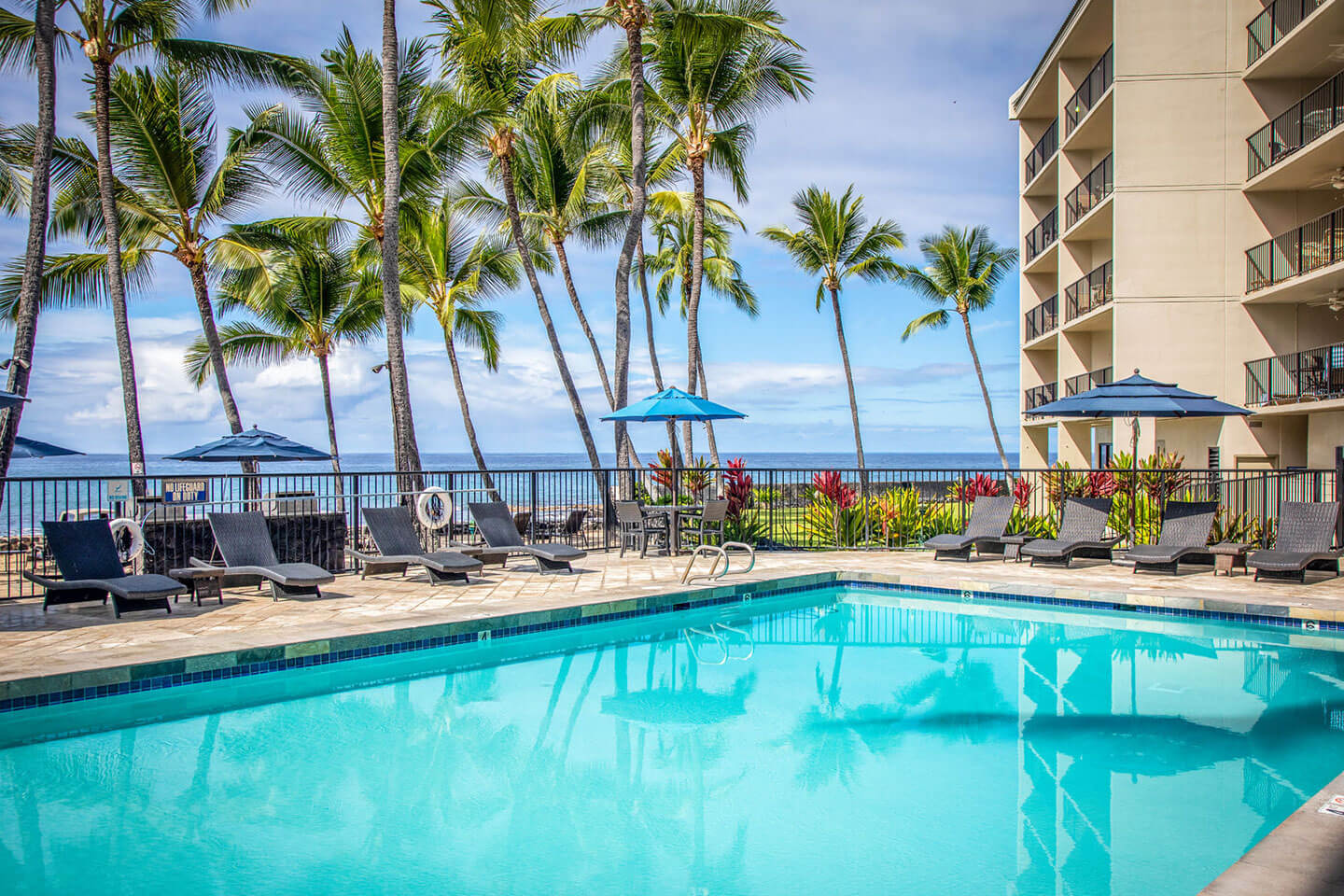 Outdoor swimming pool with ocean views.