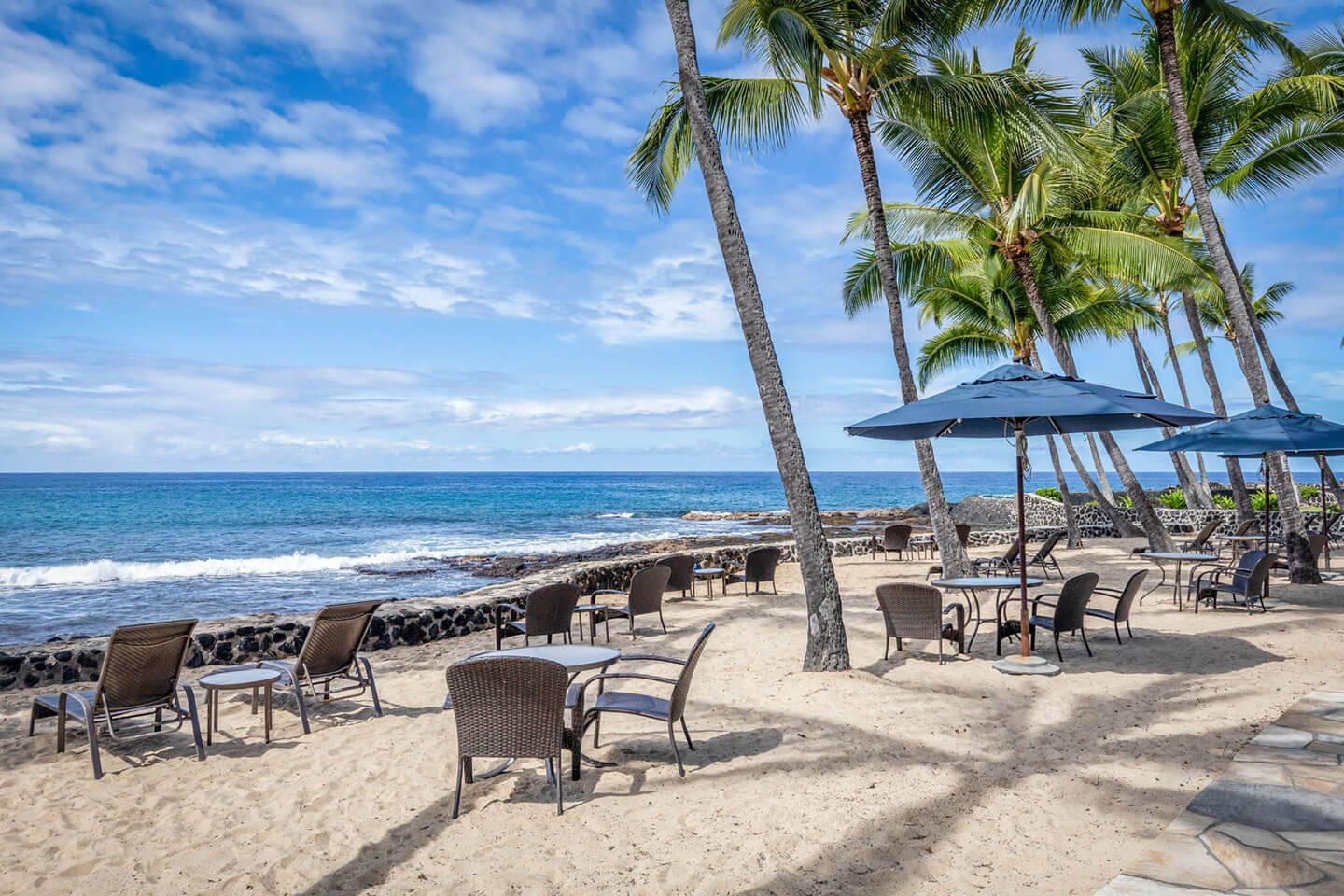 Sandy oceanfront seating beneath coconut trees.
