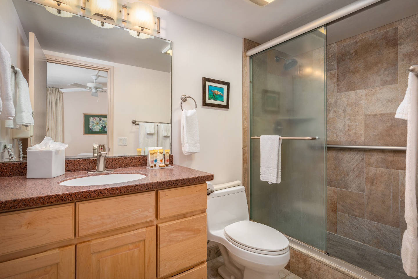 Bathroom with shower, toilet, sink, counter, mirror.