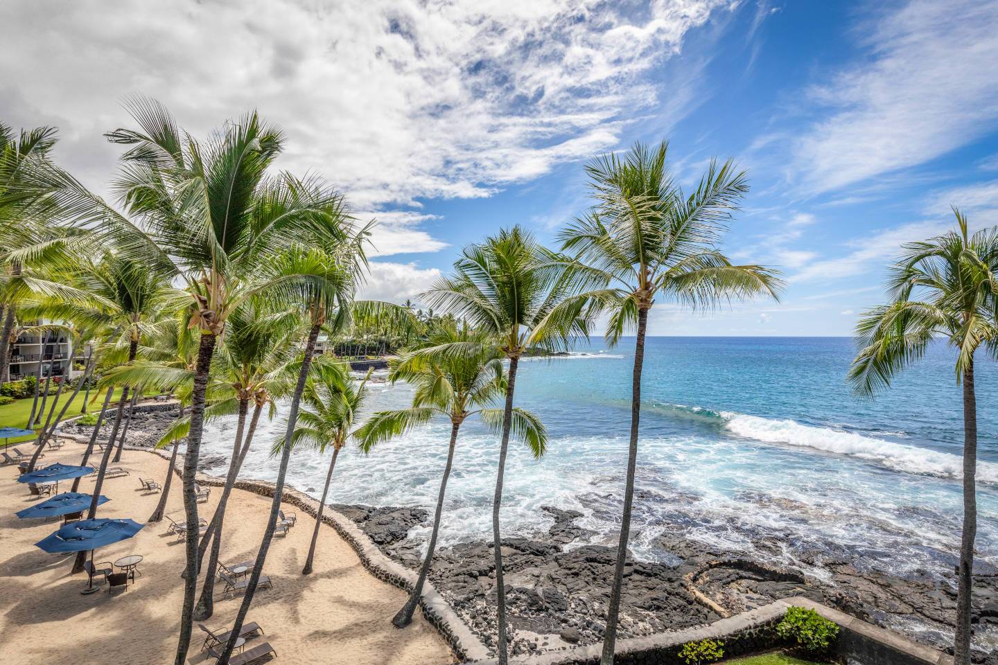 Shoreline view from the balcony with blue sky, coconut trees and waves hitting the rocks.