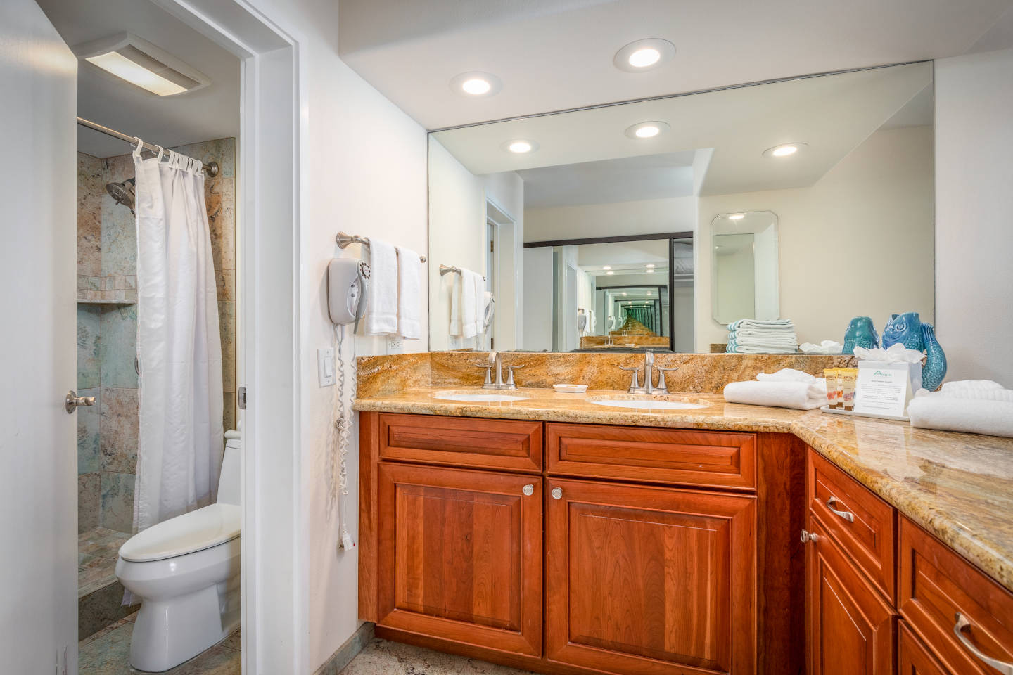Bathroom with countertops, toilet, shower.