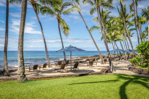 Shoreline at the Resort