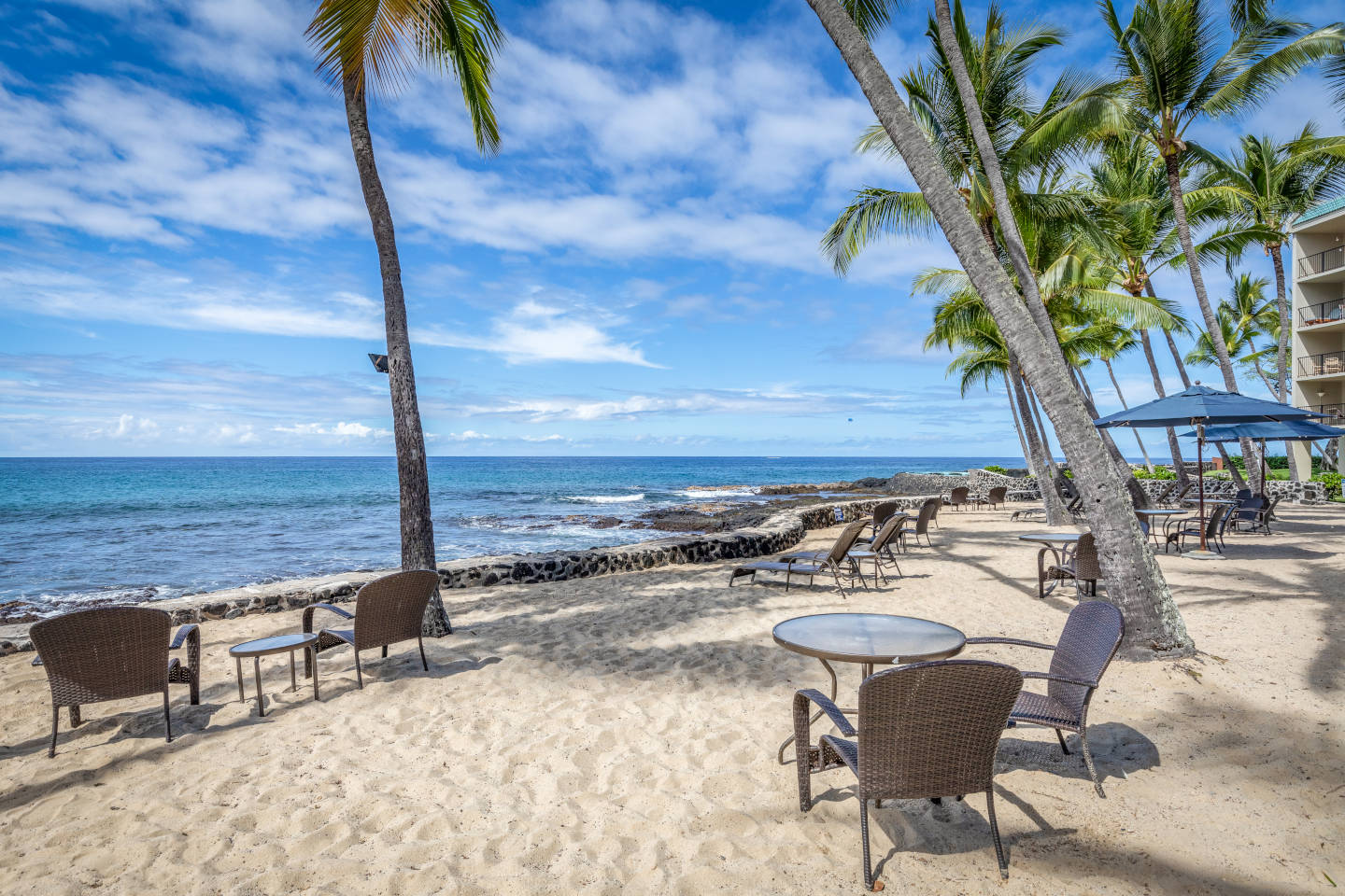 Chairs in the sand along the coastline behind a small rock wall facing the ocean under coconut trees on a sunny day.