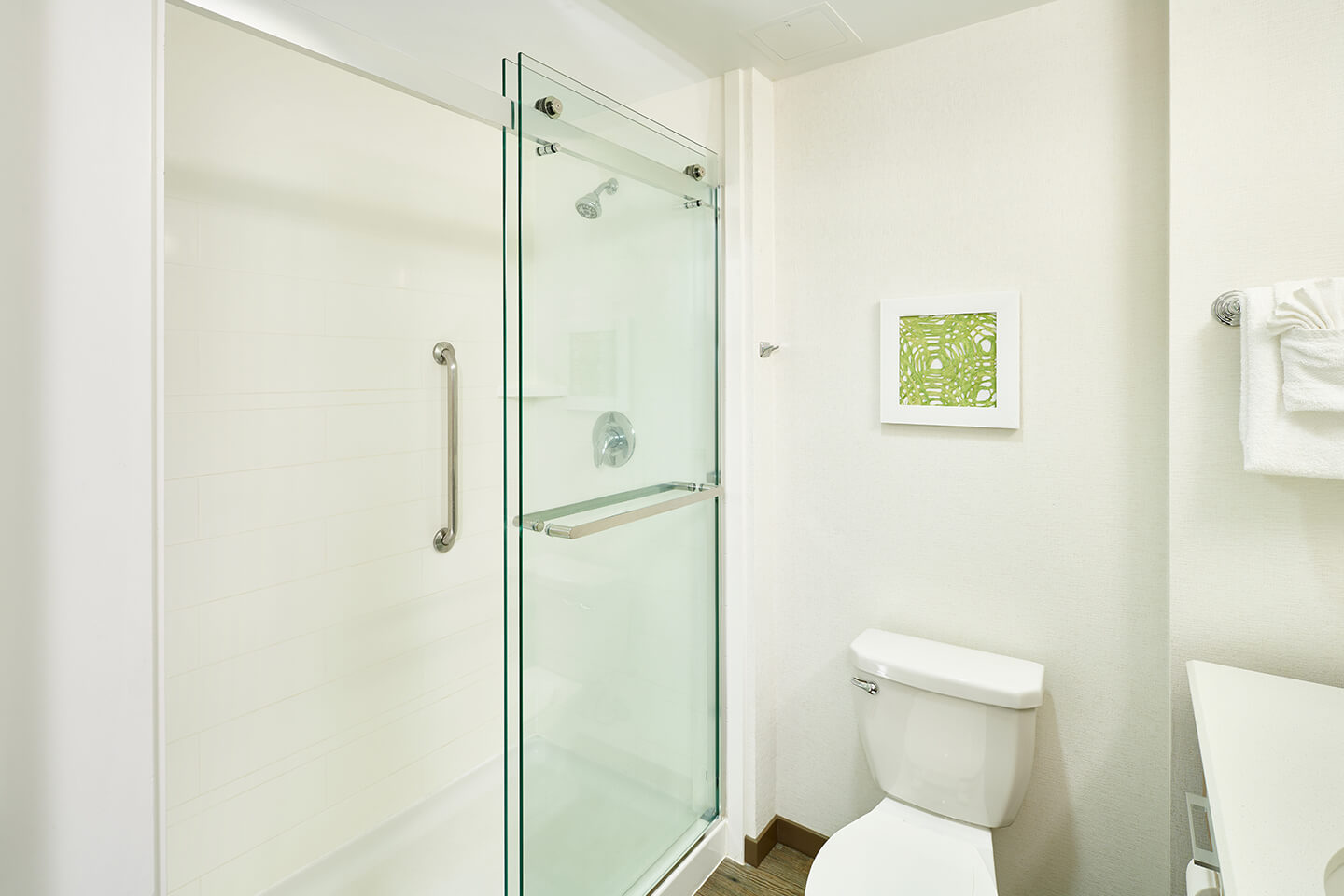 Bathroom with glassed shower, toilet, counter