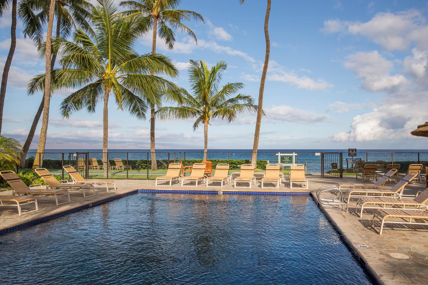 Oceanfront pool and sun deck.