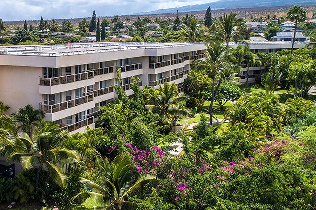 Resort Grounds