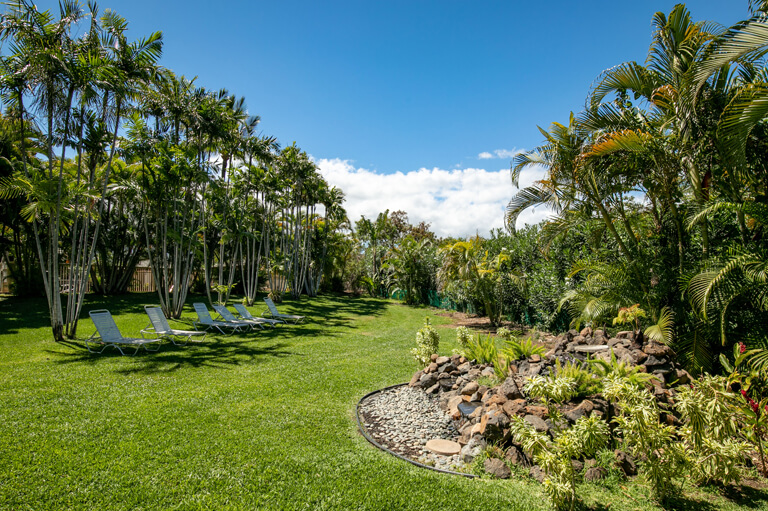 Seating Area and Garden Area