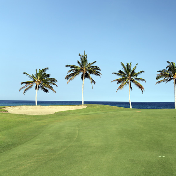 Golfing maui hawaii